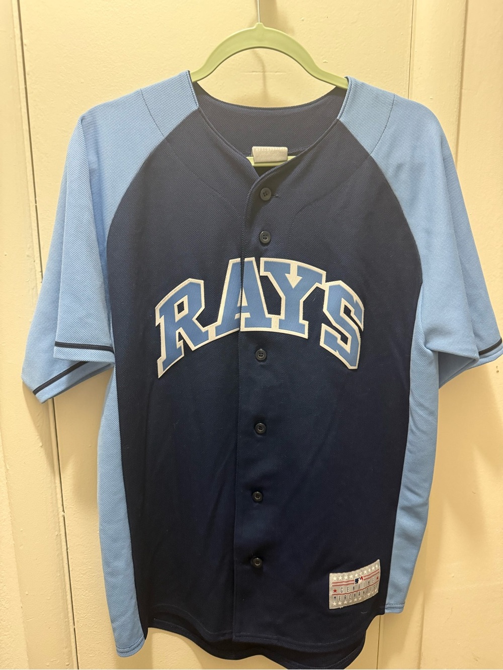MLB  Tampa Bay Rays Navy and White Button-Up Jersey with Red & Blue Logo